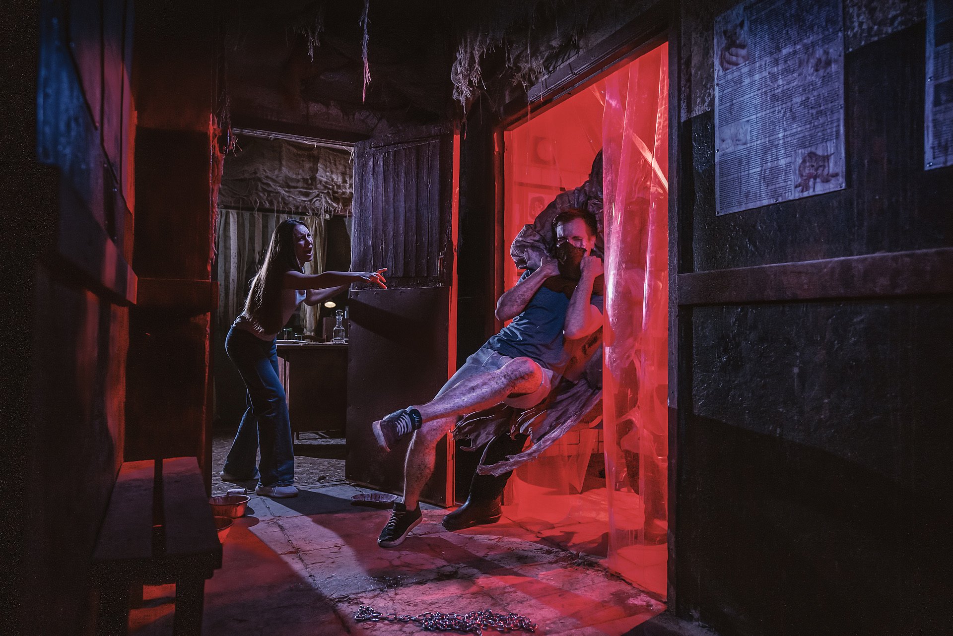 Фото квеста Питомец