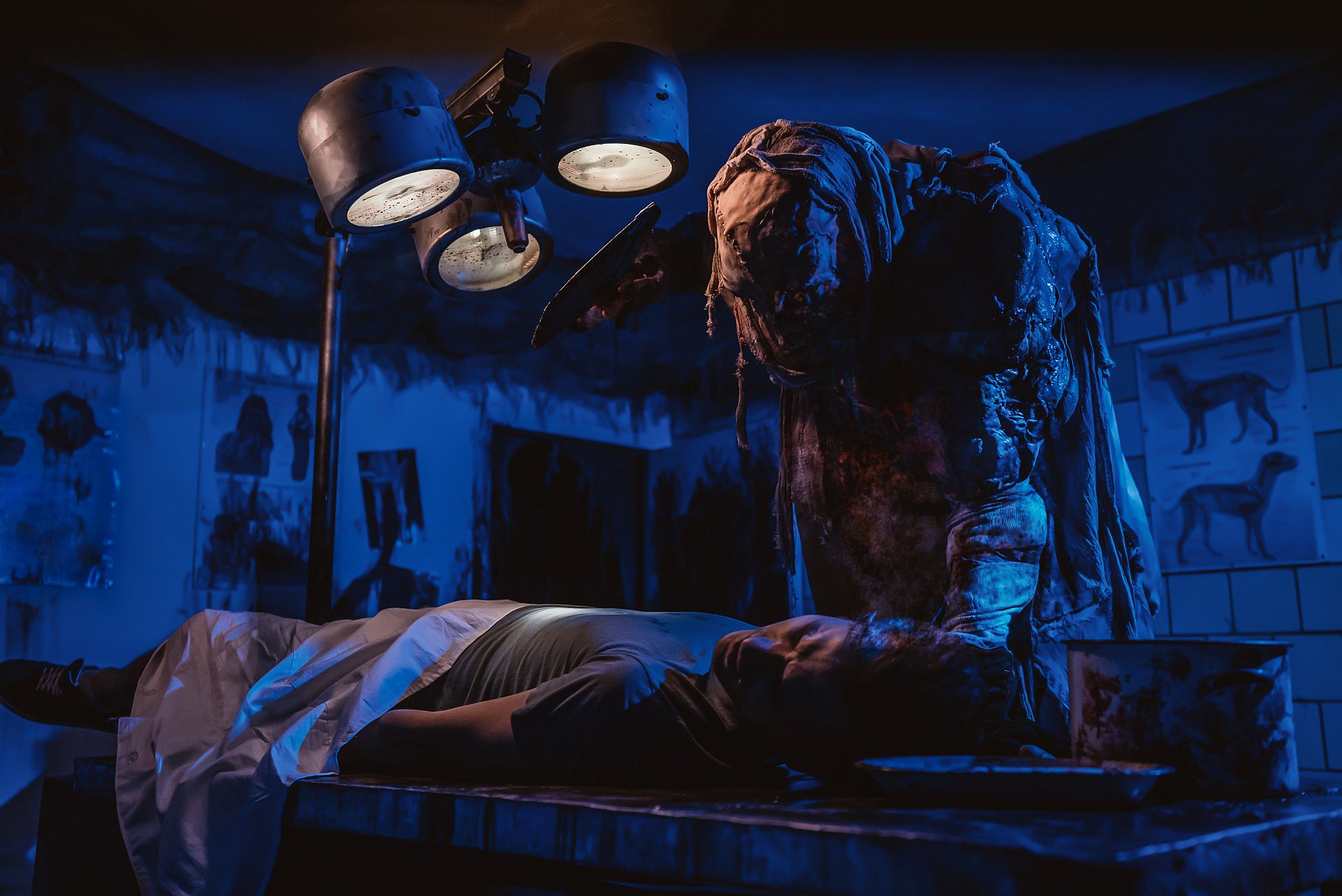 Фото квеста Питомец