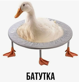 картинка Батутка от Квест Батл